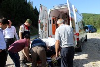 Kastamonu'da Otomobil Tarlaya Uçtu Açıklaması 5 Yaralı