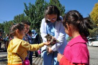 SOKAK HAYVANI - Odunpazarı Belediyesi 6 Ayda 125 Hayvanı Sahiplendirdi