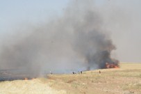 Buğday Tarlasında Yangın