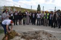 KANSEROJEN MADDE - İskilip'te İçme Suyu Şebekesi Yenileniyor