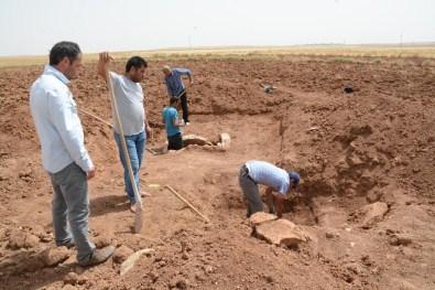 Mardin'de 'Erken Tunç Çağı'na Ait Mezar Bulunması
