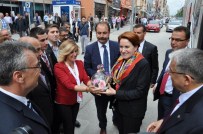 BAHATTIN ŞEKER - Meral Akşener'in Bozüyük Ziyareti