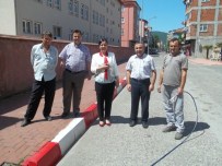 SALTUKOVA - Saltukova'da Bordür Taşlarının Boyanmasına Başlandı