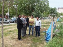 VEDAT BÜYÜKERSOY - Vali Büyükersoy, Spor Tesislerini İnceledi