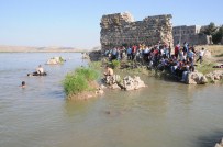 Dicle Nehri'ne Giren Genç Boğuldu