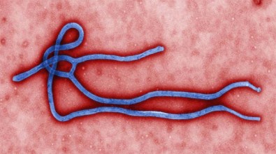 Ebola kabusu geri döndü
