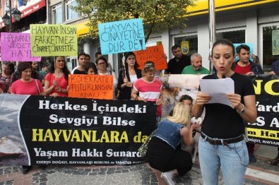 Edirne'de Pompalı Tüfekle Köpek Vahşetine Tepkiler Büyüyor