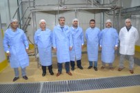 ET ÜRÜNLERİ - Gıda Tarım Ve Hayvancılık İl Müdürü Kayacan Karpuzatan Bölgesinde Yenilenen Mezbahaneleri İnceledi