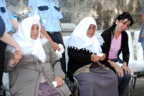 Kars'taki Trafik Kazası