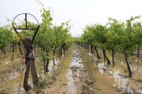 Kötü Hava Manisalı Üreticiyi Vurdu