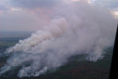 Ukrayna'da Orman Yangını
