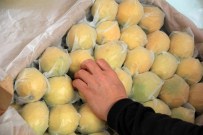 Yatak Limon Kazandırdı