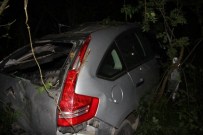 50 Metreden Uçuruma Uçtu, Burnu Dahi Kanamadı