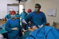 ŞIŞMANLıK - Ameliyat Sonrası İkinci Baharlarını Yaşıyorlar