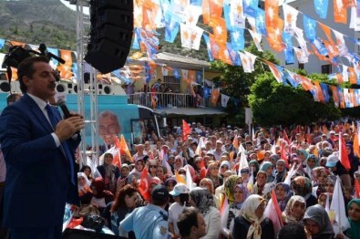 Bakan Çelik Artvin'de