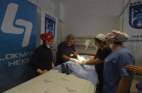 Büyükşehir'den 2015 Yılında 2015 Çocuğa Sünnet