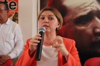 MEVLÜT DUDU - CHP'li Böke Açıklaması 'Çiftçiyi Zengin Yapacağız'