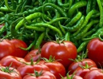DOMATES FİYATI - Domates ve biber fiyatı dibe vurdu