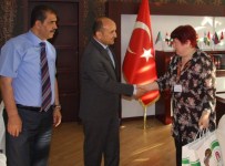 TÜRK TARIHI - Gürcistan'dan Amasya Üniversitesi'ne Mevlana Ziyareti