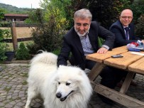 TRAFO MERKEZİ - 'Kedileri Trafolardan Uzak Tutun' Açıklamasını Yorumladı