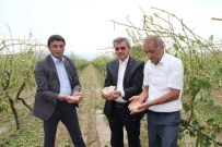 KASKO - Manisa'da Dolu Felaketi