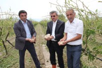 Manisa'daki Sağanak Ve Dolu