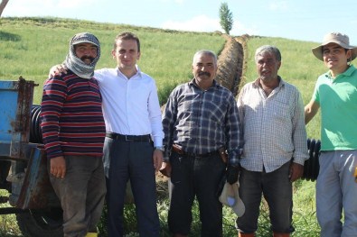 Şefaatli Kaymakamı Aydın'dan Mevsimlik İşçilere Ziyaret