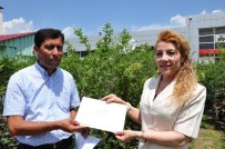 VERGİ REKORTMENİ - Vergi Rekortmeni Esnafa Bakan Teşekkürü