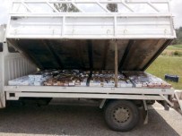 Adana'da Kaçakçılık Operasyonu