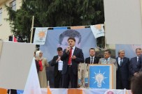 BAHATTIN ŞEKER - AK Parti'nin Osmaneli Mitingi