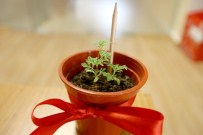 DÜNYA ÇEVRE GÜNÜ - Çiçeğe Dönüşen Kalemler