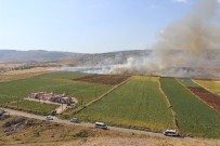 FARUK KORKMAZ - Gaziantep'te 120 Dönüm Ekili Alan Kül Oldu