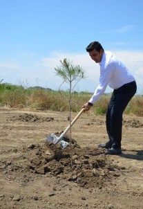 Manavgat'ta Fidan Dikme Etkinliği Yapıldı