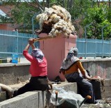 SERINOVA - Muş'ta Kadınlar Dere Kenarında Yün Yıkadı