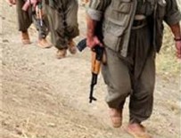PKK OPERASYONU - Siirt'te Terör Örgütü Operasyonu