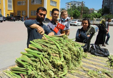 Türkiye, Sandık Başında