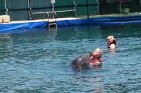 Yunuslar İçin Eylem Yaptılar