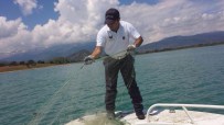 KURUCUOVA - Beyşehir Gölü'nde Kaçak Av İle Mücadele