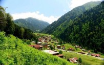 Doğu Karadeniz'de Turizm Eğitimi Yetersiz