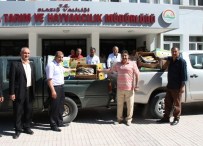 AV YASAĞI - Elazığ'da 1,5 Ton Kaçak Balık Yakalandı