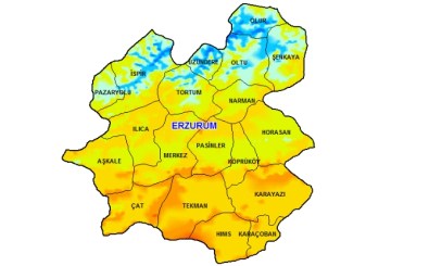 Erzurum Kimleri Meclis'e Gönderdi ?