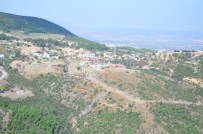 Manisa'da 2 Bin 435 Adet 2/B Arazisi Satıldı