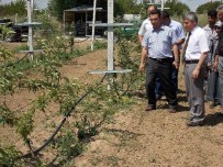 Meyvecilik Projeleri Meyvelerini Vermeye Başladı