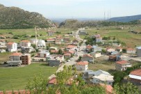 Sincik İlçesi Yine Şampiyon Oldu