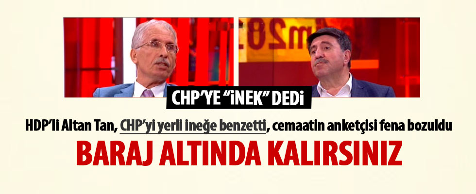 Altan Tan, CHP'yi ineğe benzetti