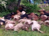 YASSıÖREN - Dursunbey'de Yıldırım 45 Küçükbaş Hayvanı Daha Telef Etti