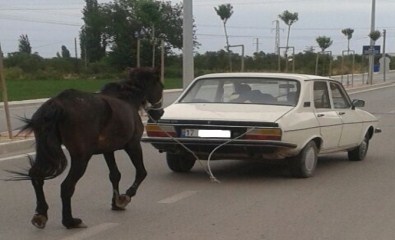 Günün 'Yurdum İnsanı' Haberi