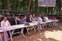 CANDAN YÜCEER - Orduluların Piknik Ağası Değişmedi