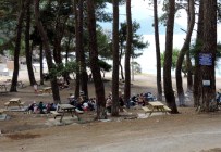 MAVIKENT - Piknik Ve Mesire Alanlarında Yeni Düzenleme Yapılıyor