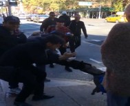 PİTBULL - Pitbull Isırdığı Kediyi Dakikalarca Bırakmadı